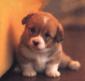 Profile picture for user logic@faith
