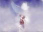 Profile picture for user tomtam