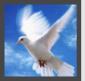 Profile picture for user Guntur Barlian