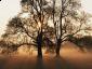 Profile picture for user Dua Saksi Yesus